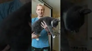 Третий день