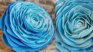 Big RANUNCULUS from isolon, growth flowers, buttercup, the base of a growth flower