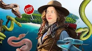 ЗМЕИНЫЙ ОСТРОВ. Как природа создала опасный рай