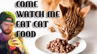 Eating Cat Food Live On Stream