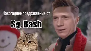 Новогоднее поздравление от Sg. Bash