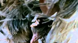 Мамы и детеныши (Wild Mothers and Babies)