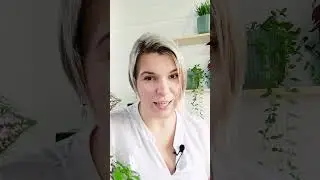 Cours particulier en Russie #languerusse #apprendrelerusse #formationrusse