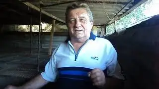 Нутрия откусывает конечности у щенков
