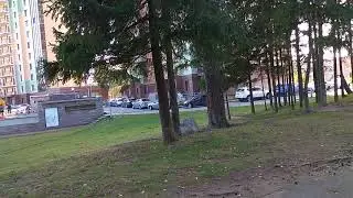 Ельничек как появился тут?