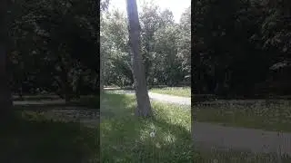 лето