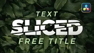 Free Text Slice Title for Davinci Resolve