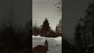 Новый год