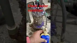 Motor || float switch