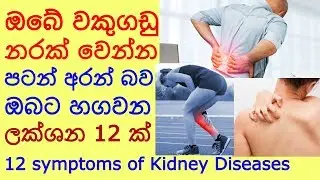 වකුගඩු නරක් වේගෙන එන බව හඟවන ලක්ෂණ Kidney disease sinhala වකුගඩූ රෝග ලක්ශන wakugadu - Sonduru Diviya