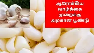 Health benefits of Garlic | health tips in tamil | benefits of garlic