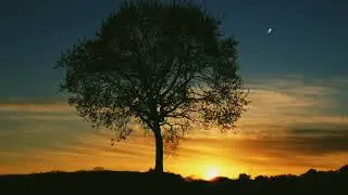 Yedi Güzel Adam Fon Müziği - Mutluluk