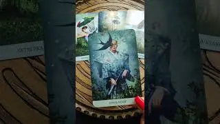 Что важно знать?