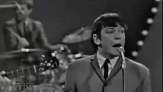 THE ANIMALS - I'm Crying (1964)