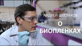 Андрей Шестаков отвечает на вопрос "Что такое БИОПЛЕНКА?"