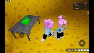 Ляйсан и я играем в Крыску Ириску