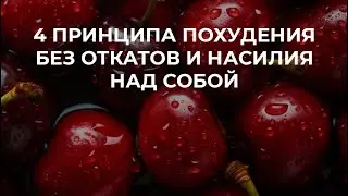 4 принципа похудения без откатов и насилия над собой