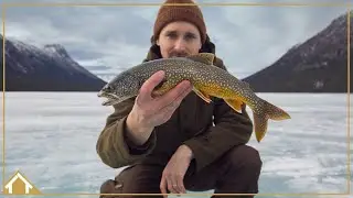 Best business trip ever!  Yukon in Northern Canada