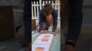Destination Domino