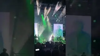 Отрывок! Мумий Тролль - Инопланетный гость (Лимассол, 2024)