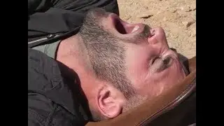 STUNG by a TARANTULA HAWK!
