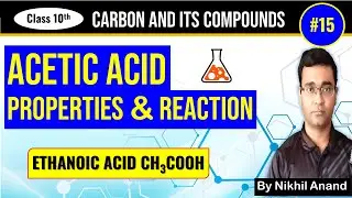 Acetic Acid Properties And Reaction | Carbon and Its Compounds | Class 10 Science Chapter 4 Part 15