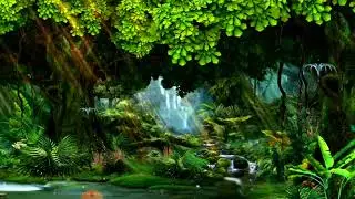 beautiful garden green screen