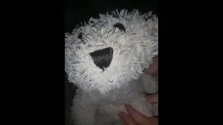 bear reference? :O