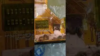 ஆ 🥶 Water Damage - தண்ணீர் VS Display= Output
