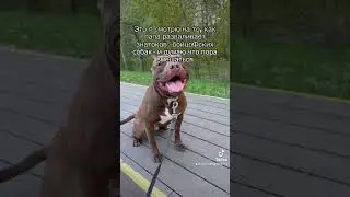 Вечерние разборки 