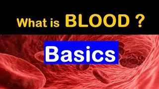 What is Blood | Composition - Component || Basic