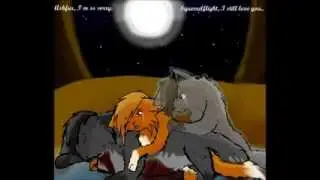 Белка Коты-Воители