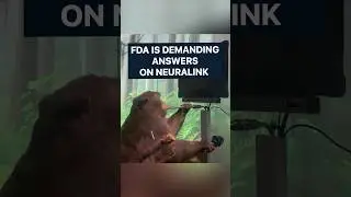 FDA is demanding answers on Neuralink | New Technology | Pro robots