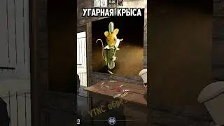 РАЗРЫВНАЯ танцующая КРЫСА! 🤣🤣 НАРЕЗКИ УГАРА Sodaeffect CS2 #shorts