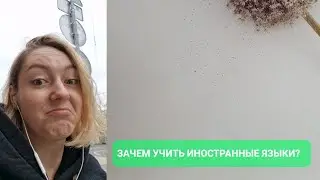 ЗАЧЕМ УЧИТЬ ИНОСТРАННЫЕ ЯЗЫКИ?!