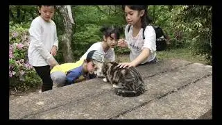 SUASANA KAMPUNG YANG INDAH