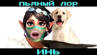 Paladins - ПЬЯНЫЙ ЛОР Инь