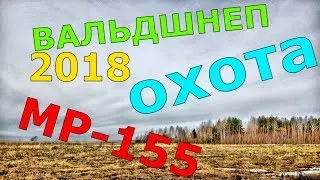 Охота на вальдшнепа 2018