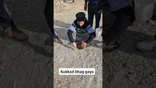 #funny