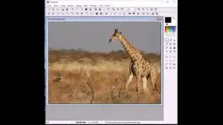 Photofiltre Girafe Clonage