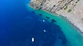 Elba Island 2021