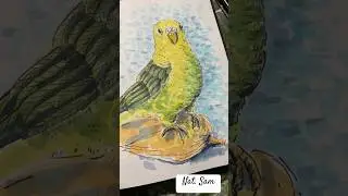 Любимая птичка