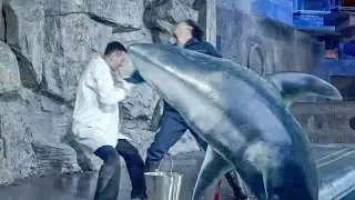 人类培育的鲨鱼，竟开始袭击人类！【吞天巨鲨Megalodon Returns】|驚悚 災難 |【電影派對】
