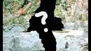 BIGFOOT SIGHTING 2019 **REAL 100%** $NEW PICTURE$ #CONFIRMED 2019 NEW BIGFOOT SIGHTING