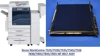 How to replace the Xerox  WorkCentre 7525/7530/7535/7545/7556 IBT BELT