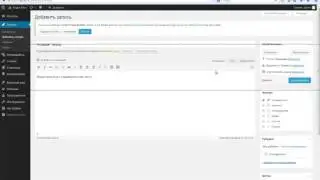 WordPress   Создаем новые записи
