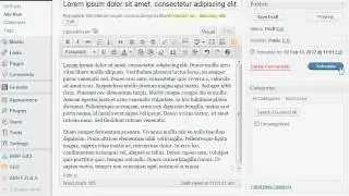 Post Dating / Scheduling a WordPress Blog Post