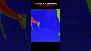 🔥 Во что НОВОЕ поиграть? САМЫЕ ОЖИДАЕМЫЕ ИГРЫ ᐈ Zoochosis