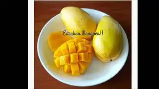Mangoes are Fun!!