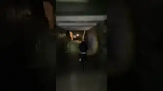 Ночной велосипед с сыном